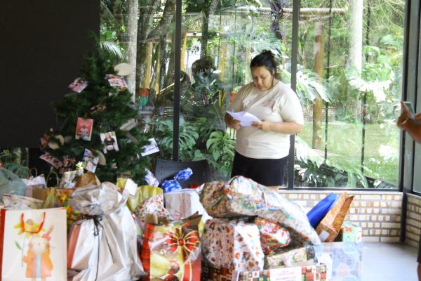 Imagem com a coordenadora do HUB Juiz de Fora, Carolina Ortega, perto de uma árvore de Natal e presentes doados por nossos doadores.